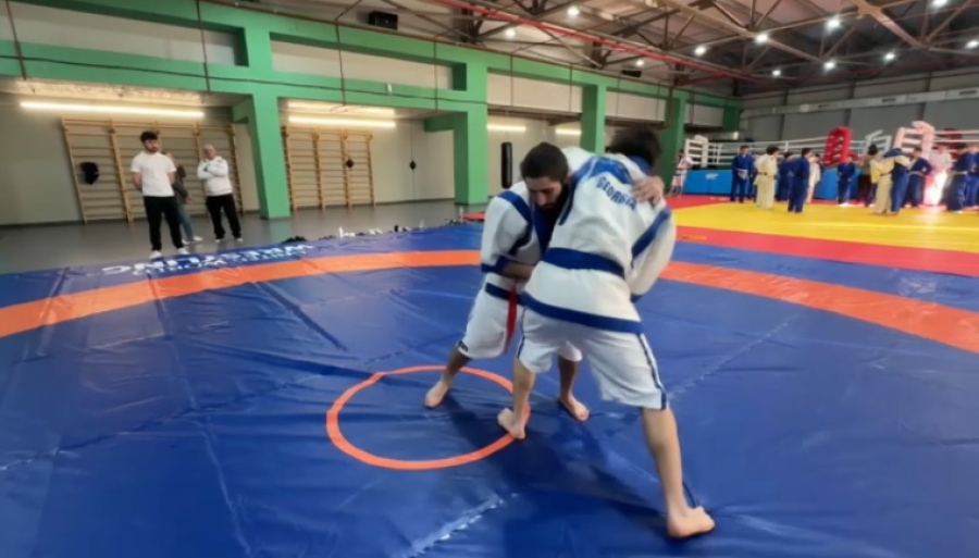 Қазақ күресі в Грузии получит поддержку почетного консула