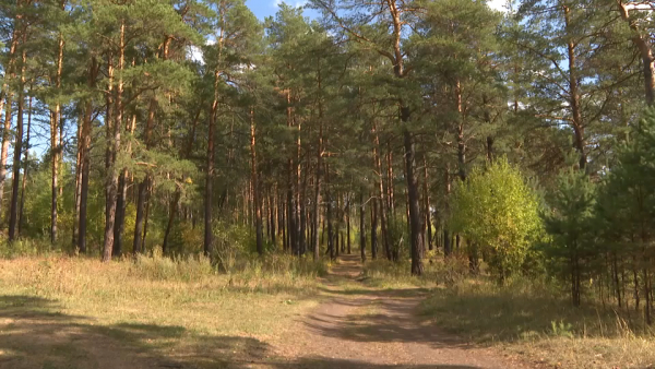 270 жителей Акмолинской области пострадали от укусов клещей