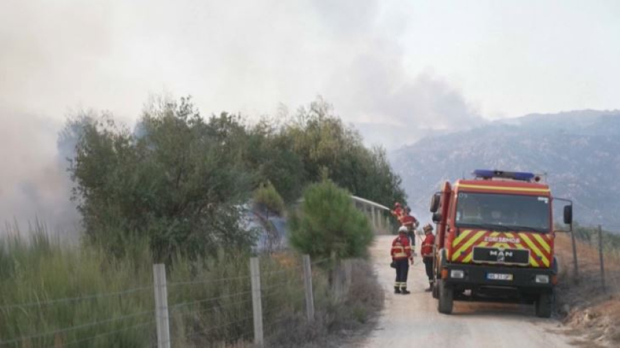 Лесные пожары в Португалии: сгорело 274 тысяч га