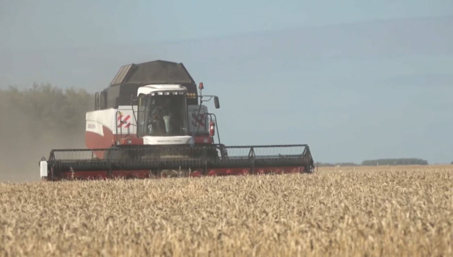 СҚО-да 3 млн тонна астық жиналды