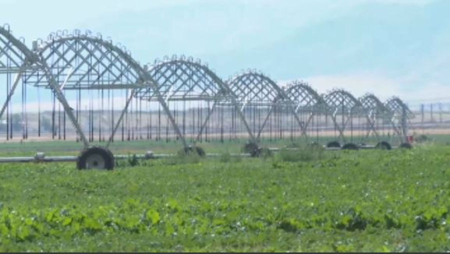 Түркістан облысында суды үнемдеуге бөлінетін субсидия 4 есе өсті