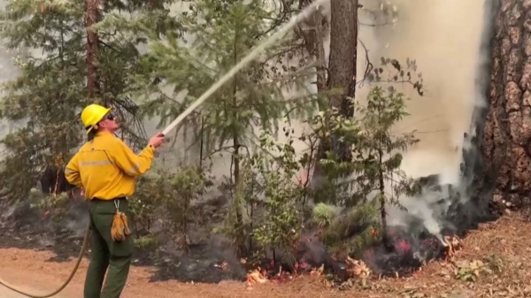 В Калифорнии не могут справиться с лесными пожарами