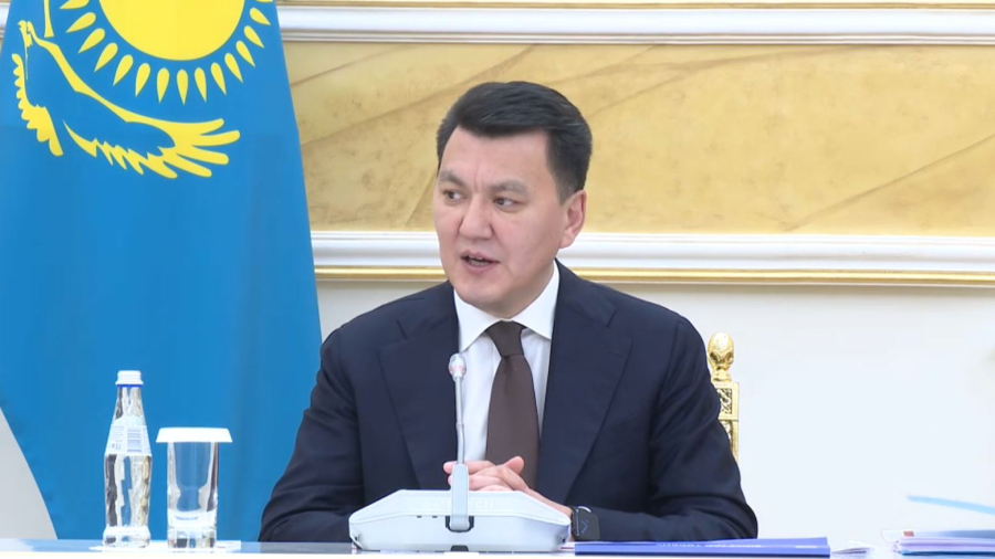 Мемлекеттік кеңесші балалардың құқығын қорғау жөнінде кеңес өткізді