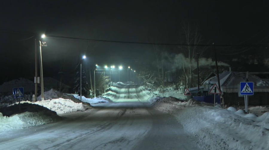 Лисы в селах: ночные визиты пугают жителей ВКО