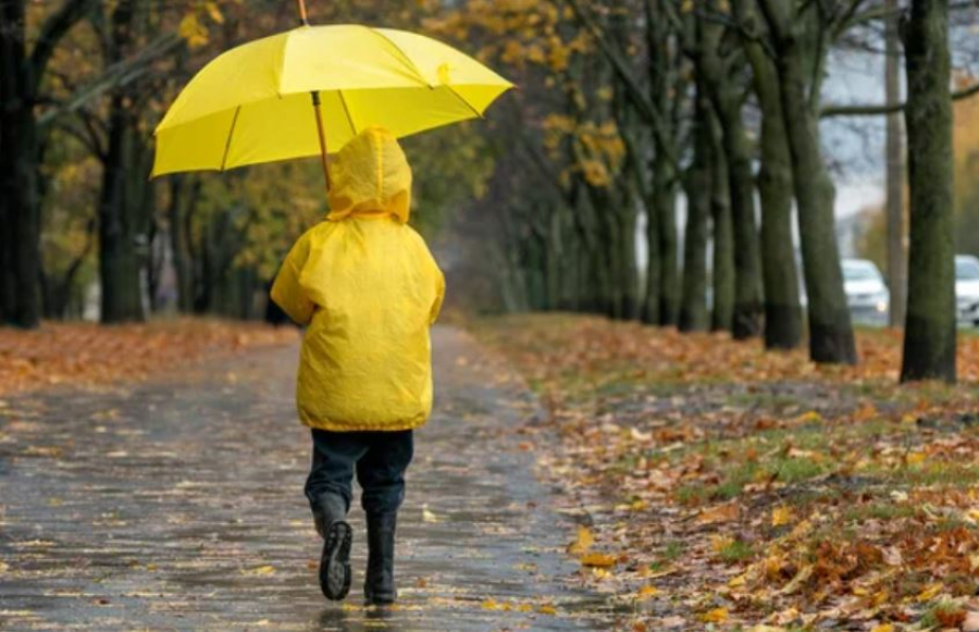 Штормовое предупреждение объявлено в ряде регионов Казахстана