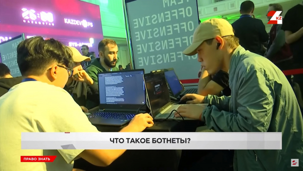 Что такое ботнеты?