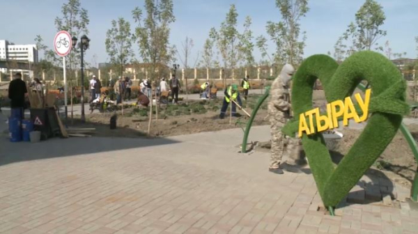 50 тысяч деревьев посадят в Атырау