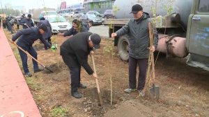 Ақтөбедегі аллеяға 100 көшет егілді