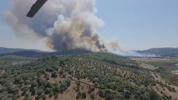 АҚШ-та орман өртінен жеті мың адам эвакуацияланды