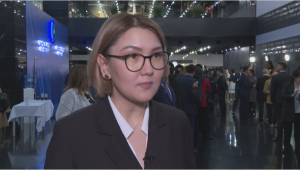 Политолог: Ассамблея народа Казахстана становится сильнее