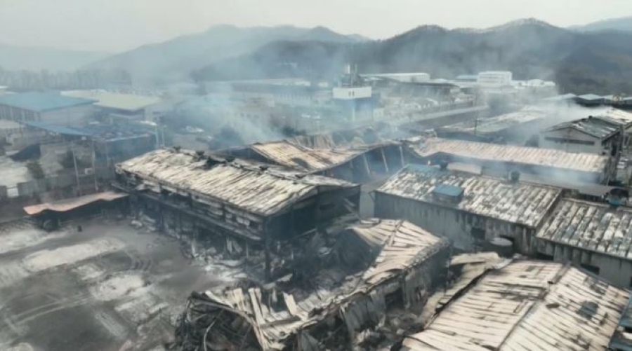 48 тысяч гектаров леса сгорело в Южной Корее