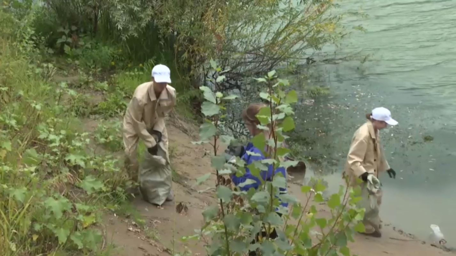 Павлодарда Усолка өзенінің жағалауы тазартылды