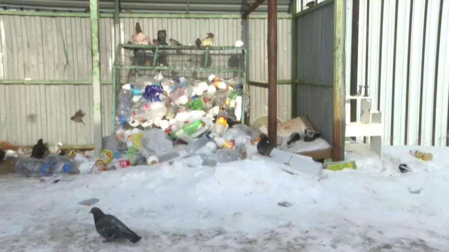 «TazaQazBot» қосымшасына 600 өтінім түсті