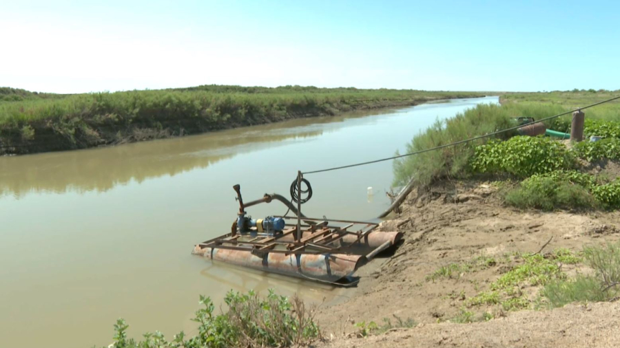 Қызылорда облысында ауыл шаруашылығына салынған инвестиция көлемі артты