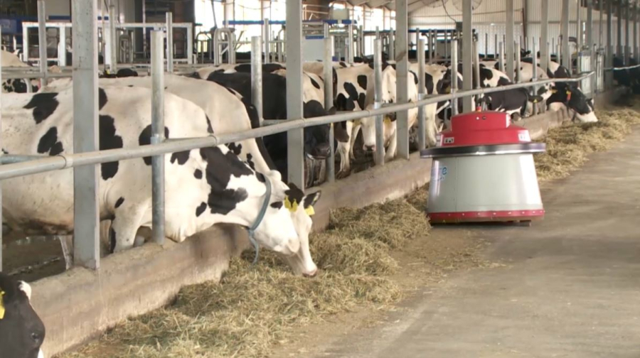 Шаруаларды қолдау көлемі 10 есе артты