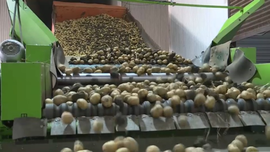 Депутат раскритиковал инициативу по ограничению вывоза овощей