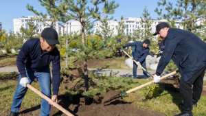 Үкімет аппаратының қызметкерлері Астанада жүз түп ағаш екті