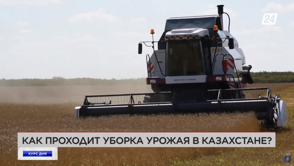 Как проходит уборка урожая в Казахстане | Курс дня
