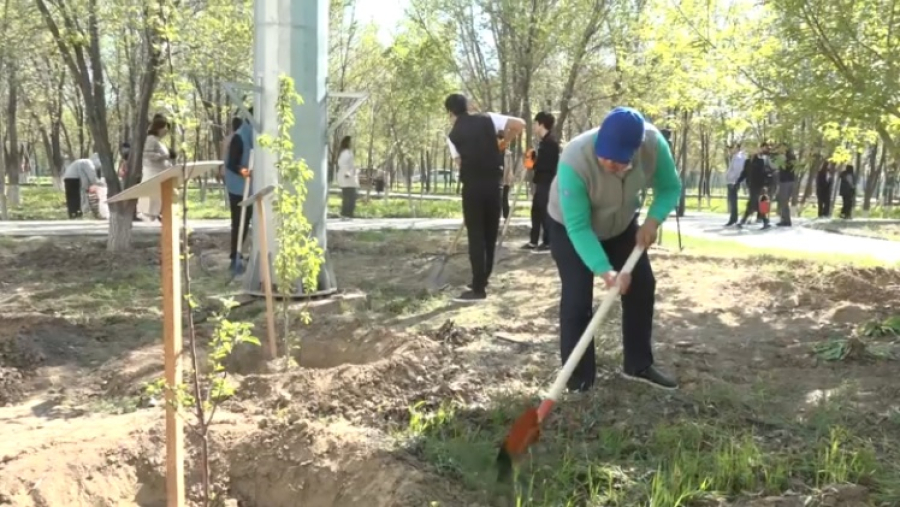 В Атырау организовали экологический субботник