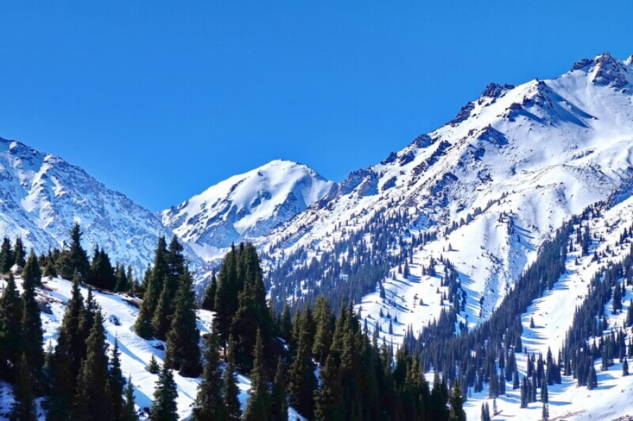 2029 жылға қарай Алматы тау кластері 7,5 млн туристі қабылдайды