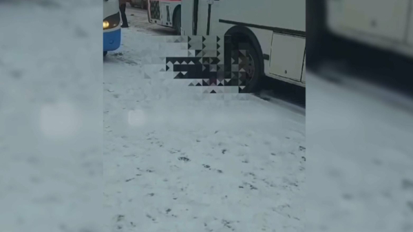 Таразда автобус жаяу жүргіншіні қағып кетті