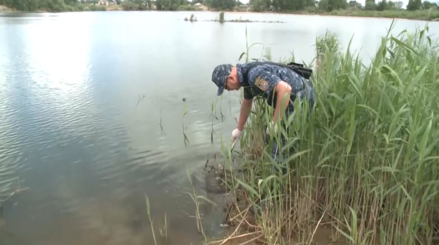 Причину гибели рыбы выясняют в Актобе
