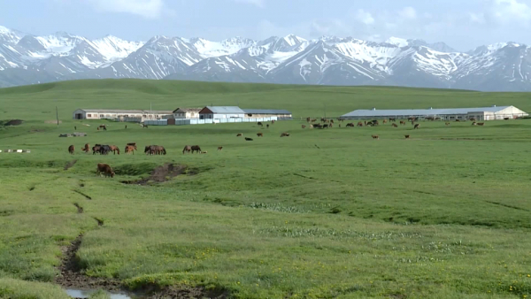 Права инвесторов защитили в области Жетісу