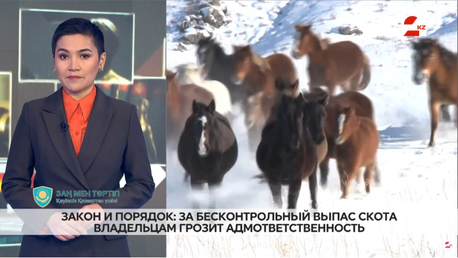 Бесконтрольный выпас и скотокрадство: новые правила и ответственность