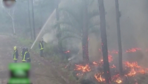 Крупный лесной пожар бушует на востоке Кубы