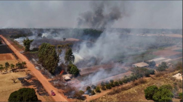 Бразилиядағы Ұлттық орманның 20%-ы өртеніп кетті