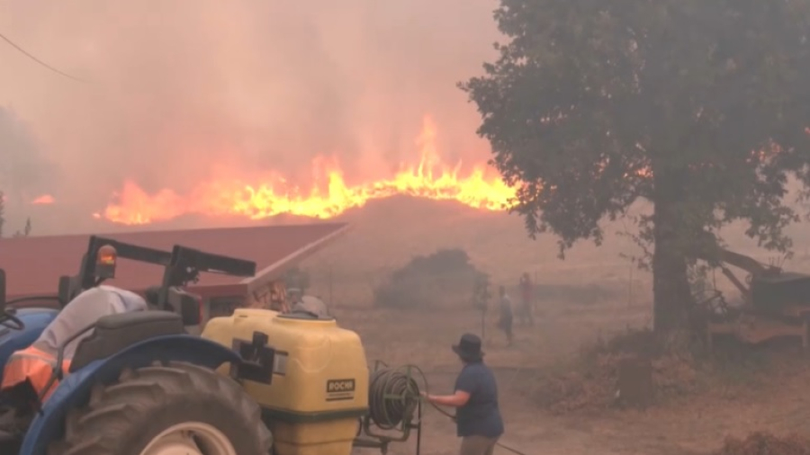 Два человека стали жертвами лесных пожаров в Португалии