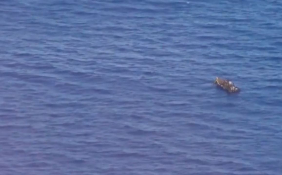 У берегов Туниса спасли 50 мигрантов