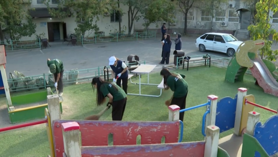 Молодежь вносит вклад в экологию