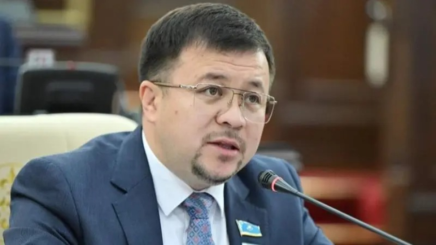 Донат үшін ар-намысты қорлау: Депутат әлеуметтік желідегі заңсыздықтарды тыюды талап етті