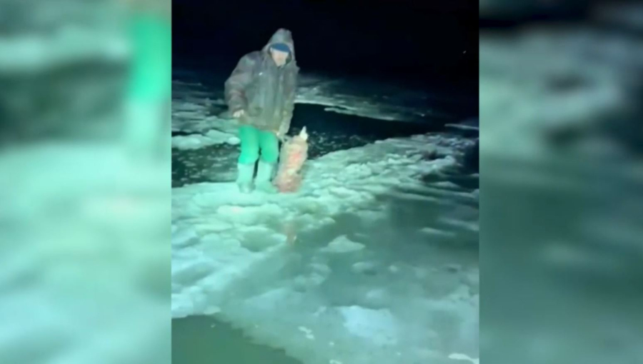 Петропавлда ер адам су ортасында қалып қойды