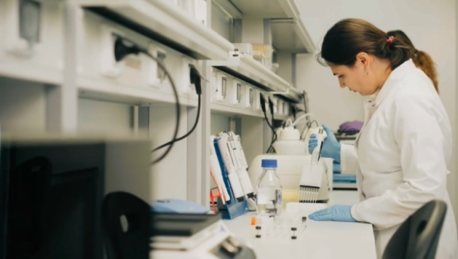 Два случая оспы обезьян зарегистрировали в России