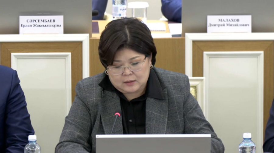 Ата Заң мәтінінің 84 пайызы өзгеруі мүмкін