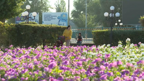 Как живут в «образцовом селе» в Кызылординской области