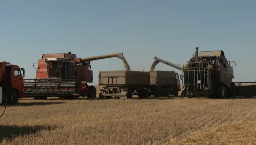 Ақмолалық диқандар биыл рекорд орнатуы мүмкін