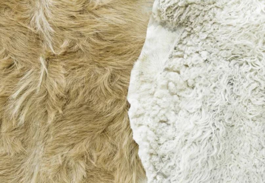 Производителям станет проще: экспортные пошлины на шкуры и шерсть отменяются