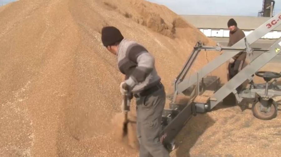 Казахстан установил рекордный экспорт зерна