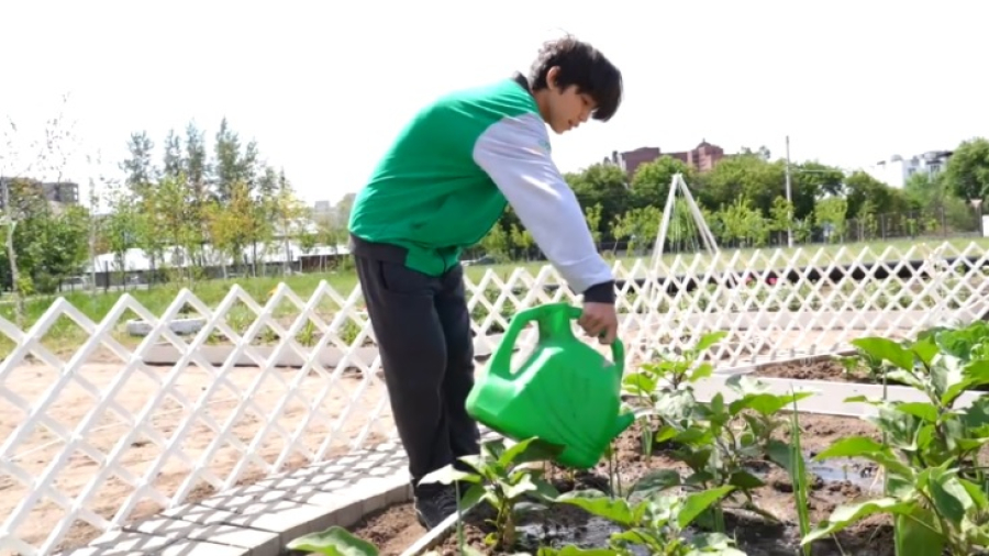 Экосад и фонтан построили столичные школьники