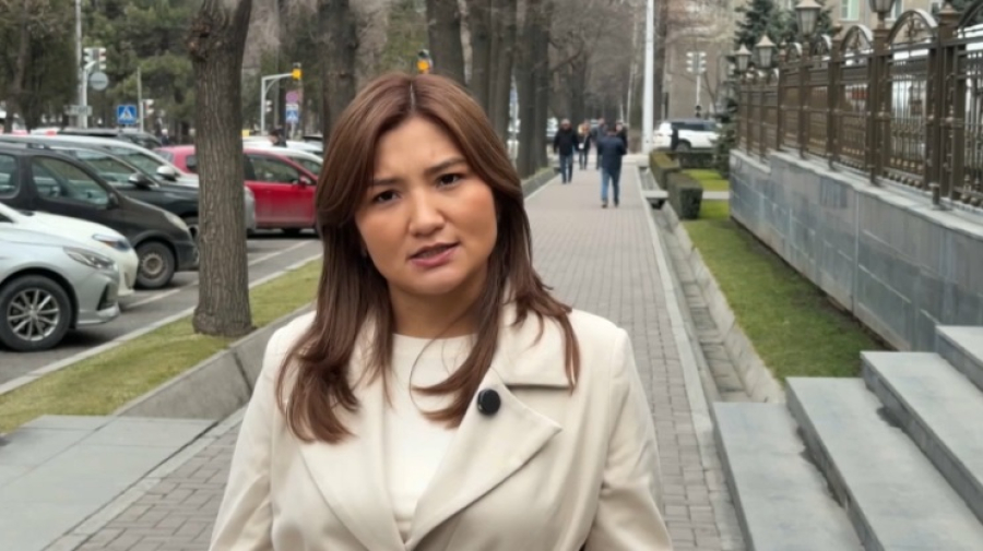 Конституционную реформу Казахстана обсуждают в Кыргызстане