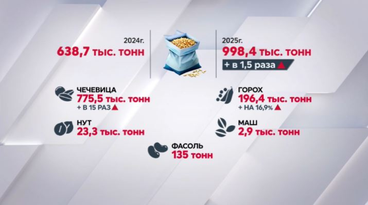 Около 1 млн тонн бобовых собрали фермеры Казахстана в 2025 году