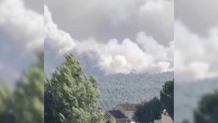 Площадь лесного пожара во Франции достигла 10 тысяч га