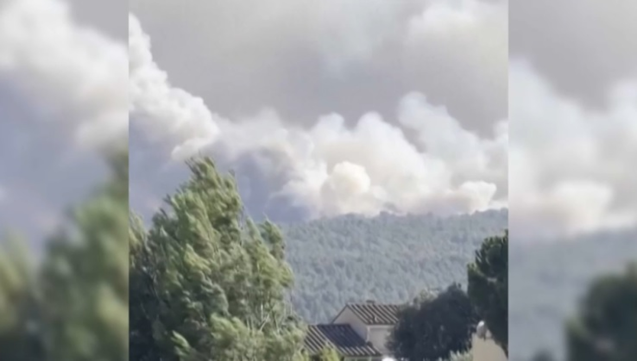 Площадь лесного пожара во Франции достигла 10 тысяч га