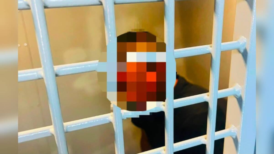 Фоторобот помог раскрыть разбой спустя восемь лет в Жамбылской области