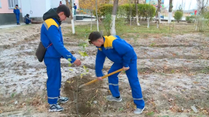 Концепцию развития экокультуры утвердили в Казахстане