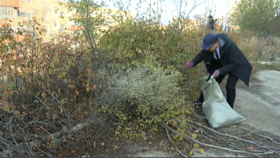 Ақтауда 70 тонна қоқыс шығарылды