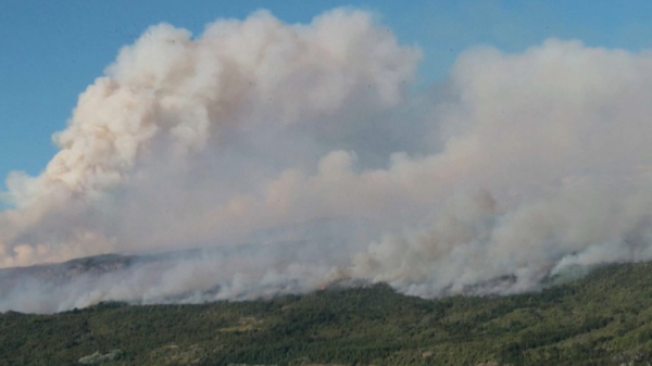 Пожар вспыхнул в аргентинском нацпарке Лос-Алерсес